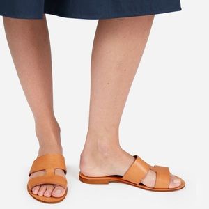 Everlane Bridge Sandals